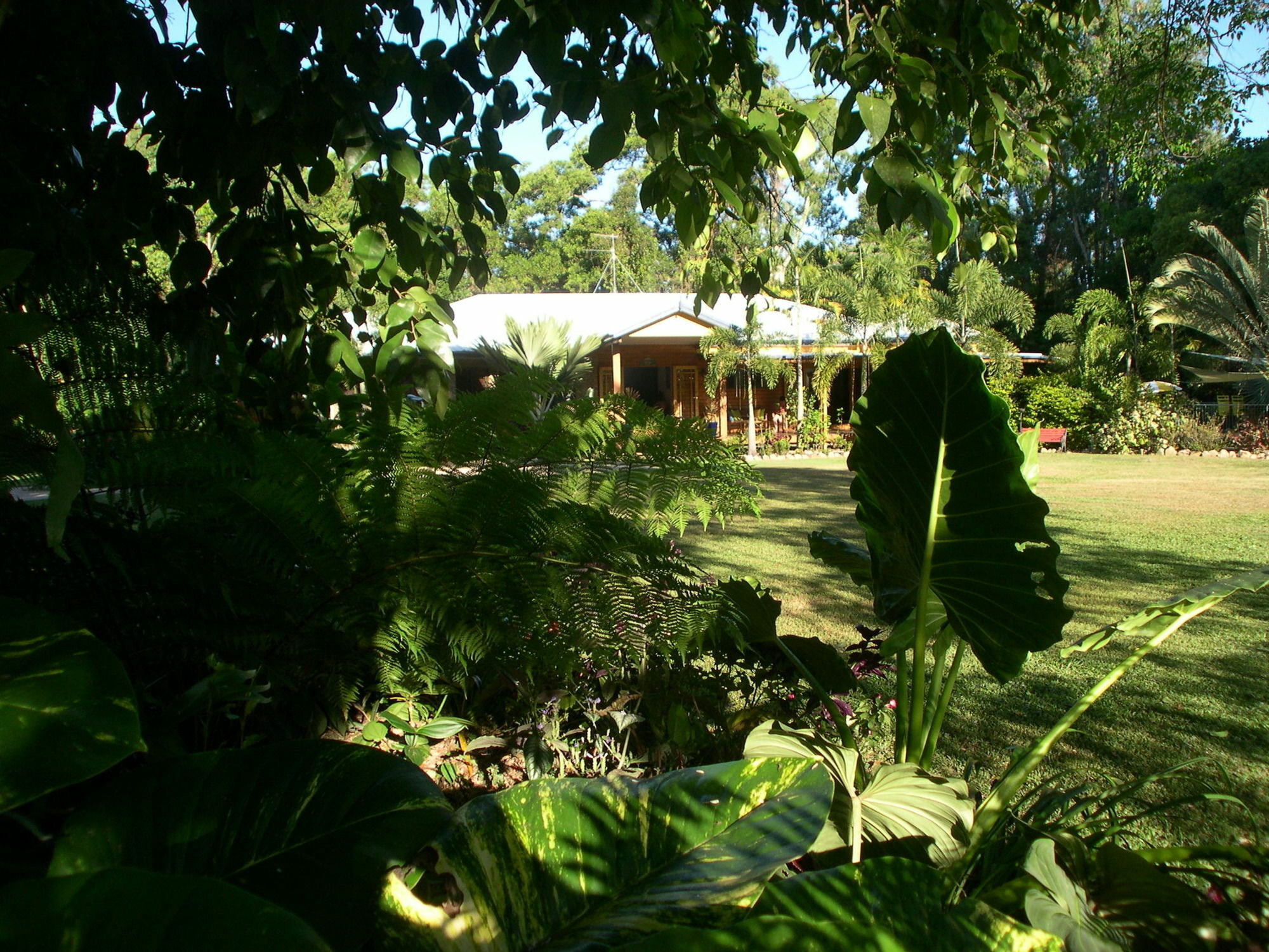 Hibiscus Lodge Bed & Breakfast Wongaling Beach Εξωτερικό φωτογραφία